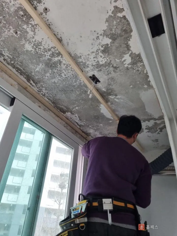 벗겨진 천장 위로 목재골조를 고정하는 모습